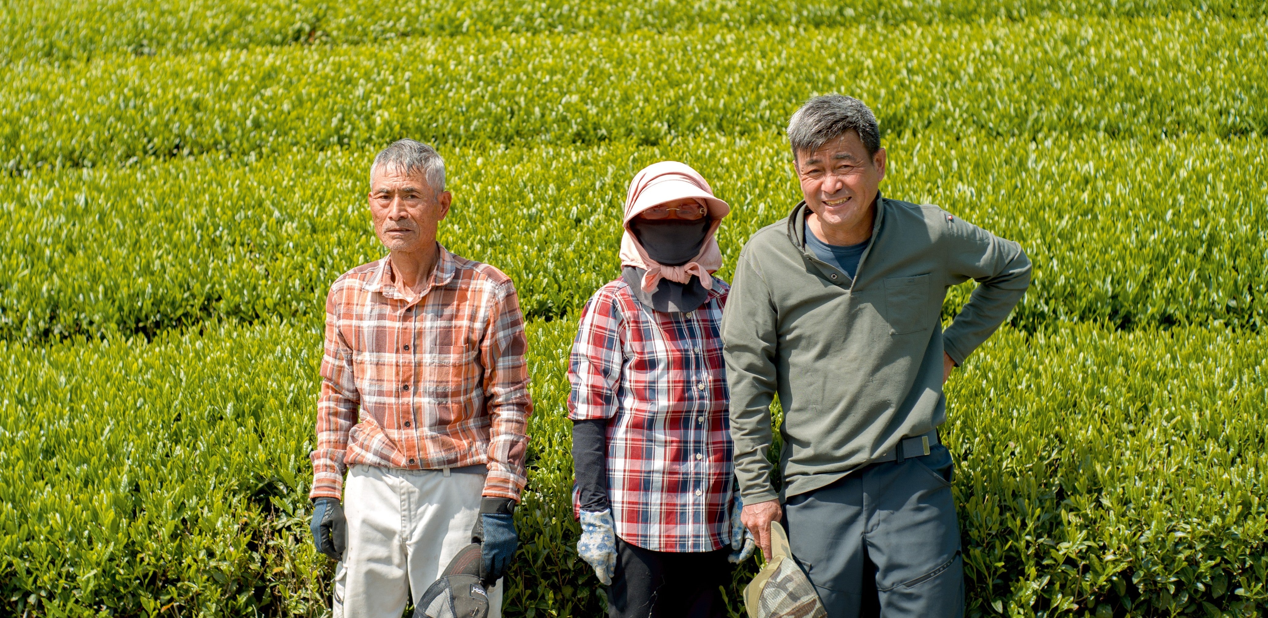 Tea farmers