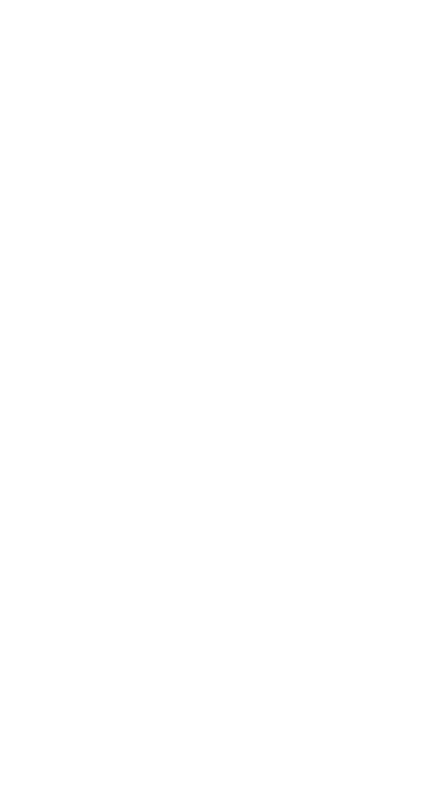 YAMA FUKU MATCHA